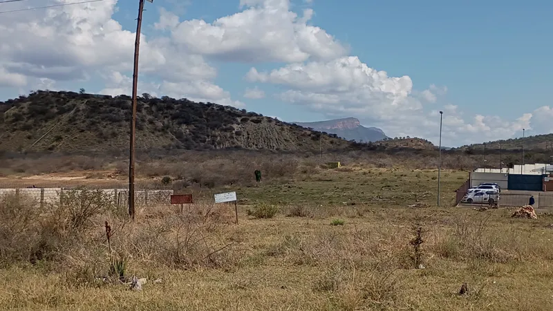 A long, bush-covered heap of historic mine waste behind open, dry ground, with a power pole and two signs in front.