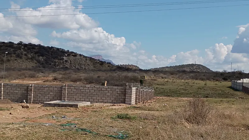 Bush-covered heaps of historic mine waste behind a low concrete-block wall on open, dry ground.
