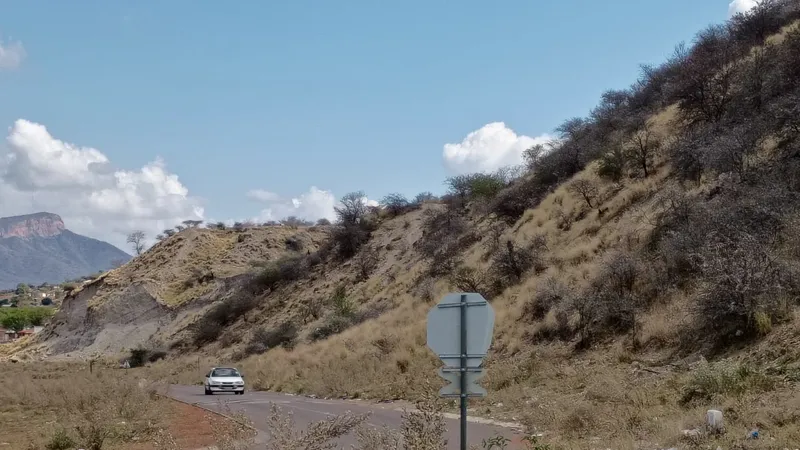 A steep, bush-covered slope of historic mine waste beside a curving road, with a flat-topped hill in the distance.