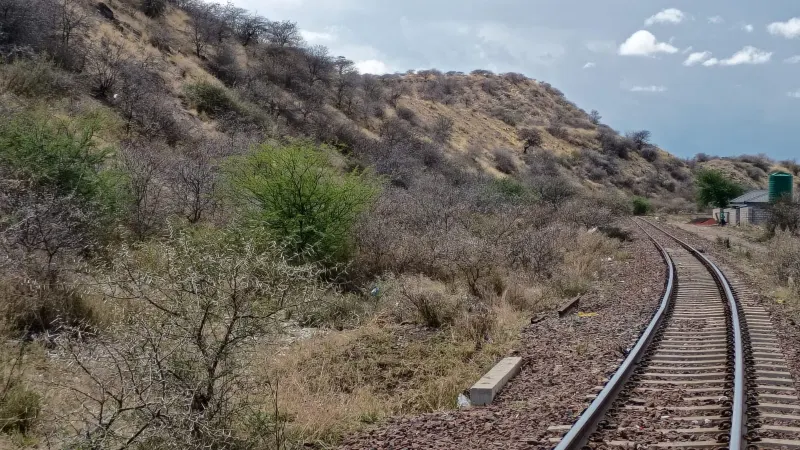 A single railway line curving past bush-covered slopes of historic mine waste, on an overcast day.
