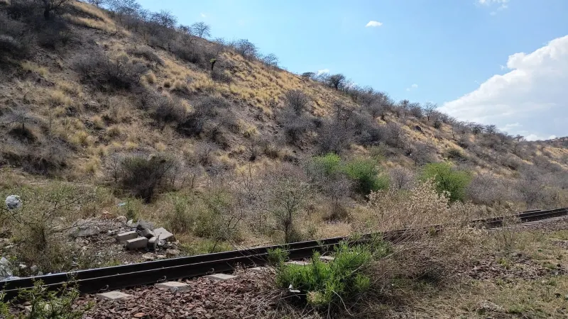 Dry grass and thorn bush on the flank of a historic mine-waste heap, rising directly beside a railway track.